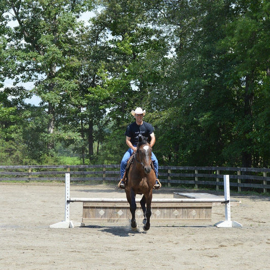 Jumping Problems